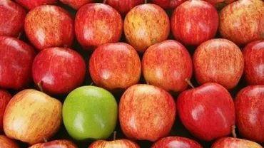 Ett nät av röda äpplen med ett grönt äpple i centrum.