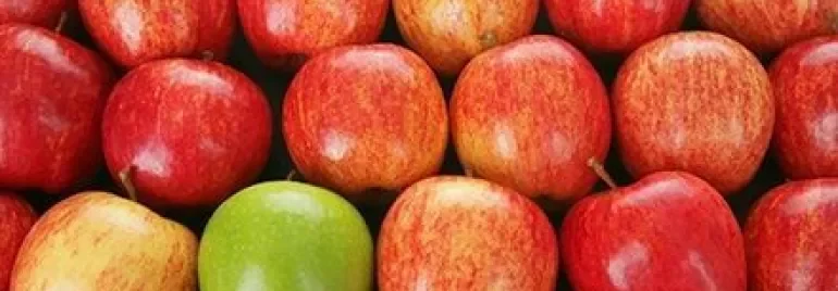 Ett nät av röda äpplen med ett grönt äpple i centrum.